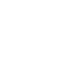 專業(yè)的AI智能技術(shù)